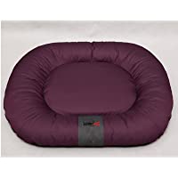 Hobbydog L POCBOR1 Pontoon - Dog (65 x 90 cm- Talla L)- Color Morado